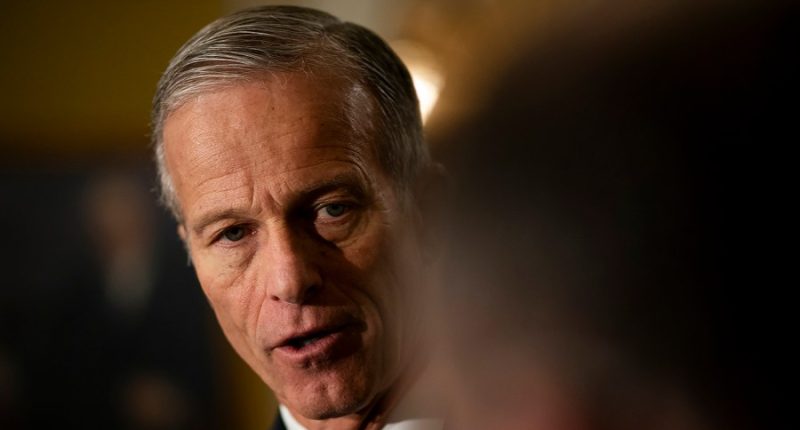 Americans know little about Thune as he prepares to lead Senate GOP: Survey