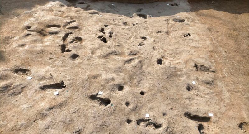 Bronze Age footprints preserved in volcanic ash.