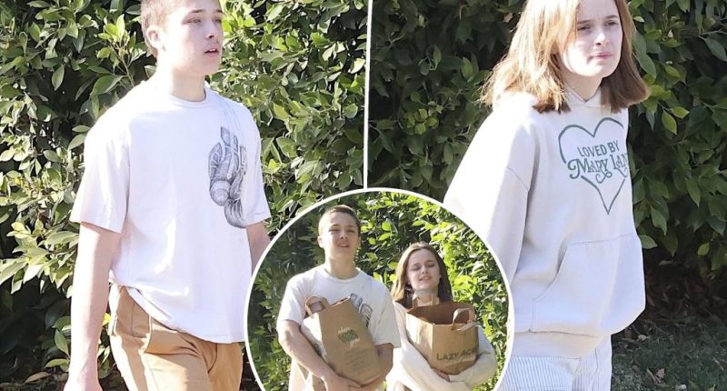 Angelina Jolie's twins, Knox and Vivienne, go on grocery run as mom helps LA fires victims