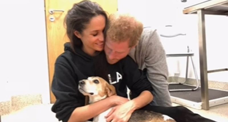 Archie and Lili's voices heard for the first time in emotional video