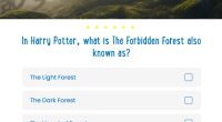 Harry Potter quiz: What is the Forbidden Forest also known as?