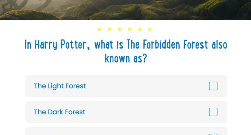 Harry Potter quiz: What is the Forbidden Forest also known as?