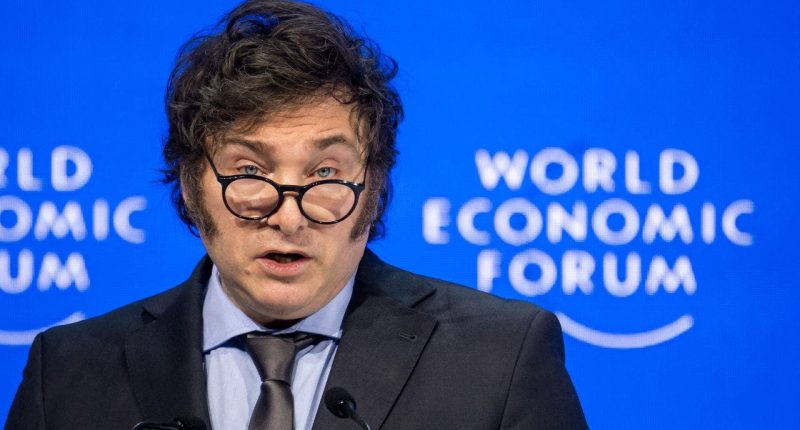 Argentina's Milei rails against wokeism, transgenderism in explosive speech at Davos