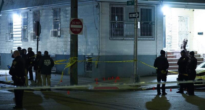 At least 11 people have been injured in a shooting outside a concert hall in Queens