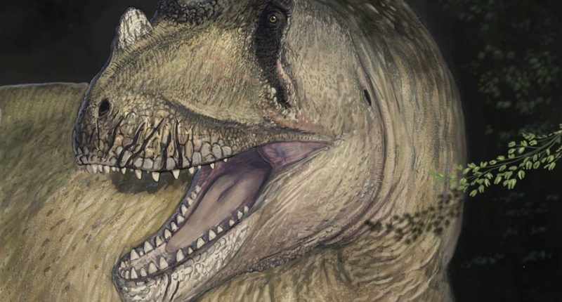 Illustration of *Tameryraptor markgrafi*, a theropod dinosaur.