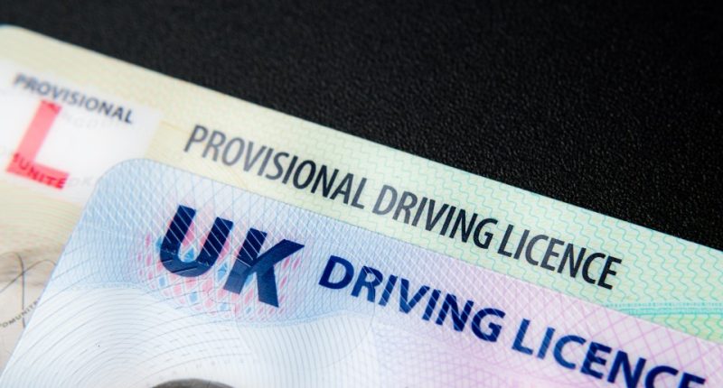 UK provisional and full driving licenses.