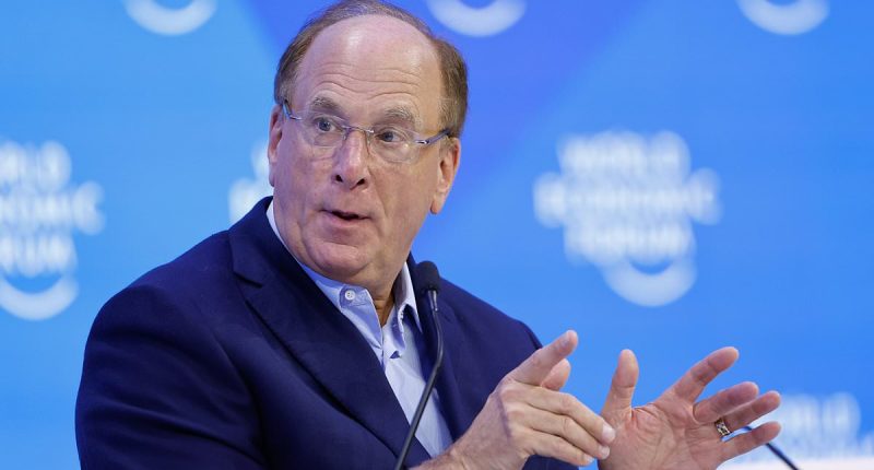 BlackRock's Larry Fink issues warning about future of LA after fires
