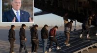 Border czar Tom Homan promises deportations every day, culimating in millions