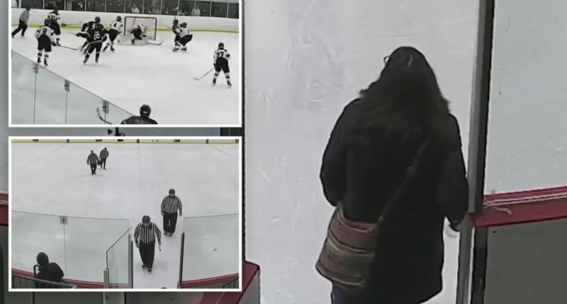 Boston hockey mom facing charges for assaulting refs after game