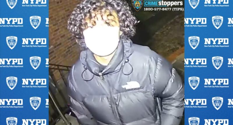 Brazen baby-faced burglary crew targets two NYC homes, beating one resident with hammer and stabbing him: cops