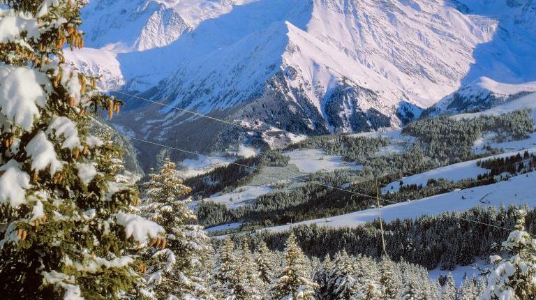 Skier on snowy mountain slope with snow-covered trees and the Mont Blanc massif in the background.