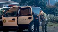 Burglar disguised as a firefighter among 29 arrested for LA looting