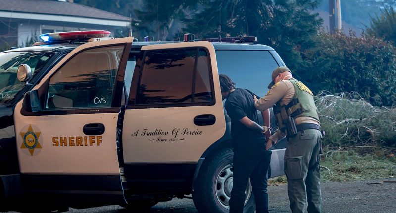 Burglar disguised as a firefighter among 29 arrested for LA looting