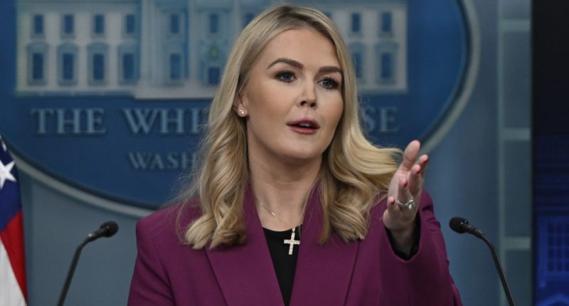 Karoline Leavitt, White House Press Secretary, speaking at a press briefing.
