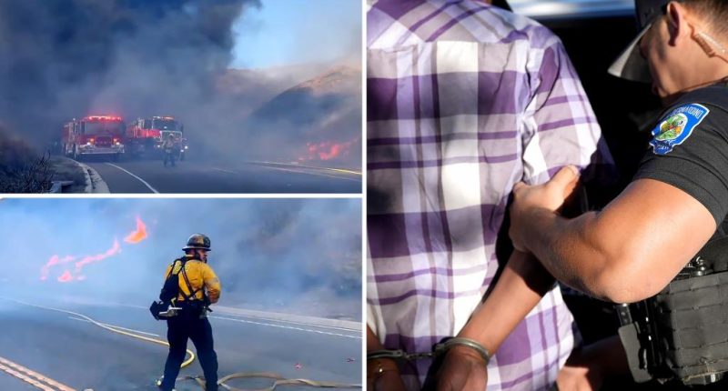 California police arrest firebug for allegedly starting bushfire in San Bernardino