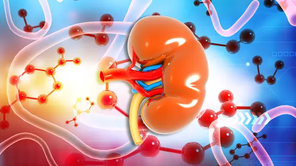 Can Kidney Disease Be Reversed? Essential Self-Care Tips Revealed