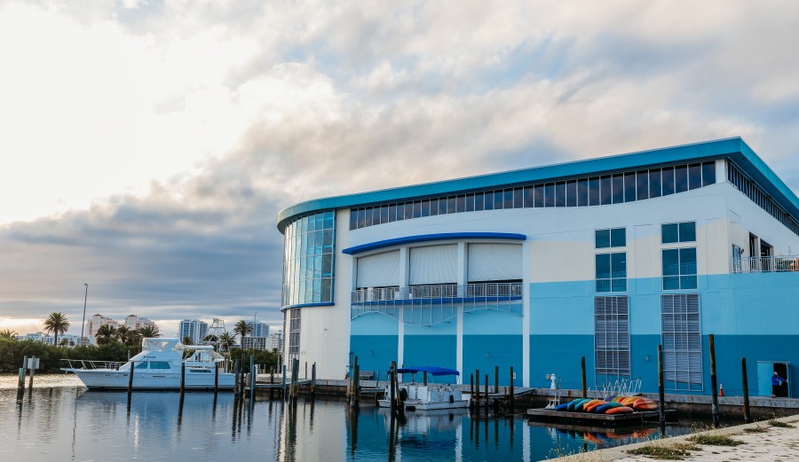 Clearwater Marine Aquarium to furlough employees amid financial challenges
