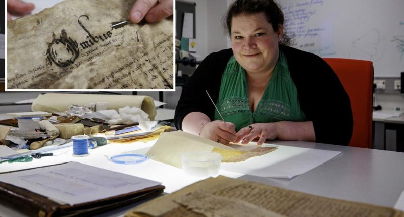 Conservationists work to preserve Ireland's oldest documents dating back over six centuries