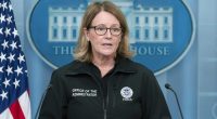 Criswell says Los Angeles area ‘very prepared’ for fires, not prepared for ‘100 mile-an-hour winds’