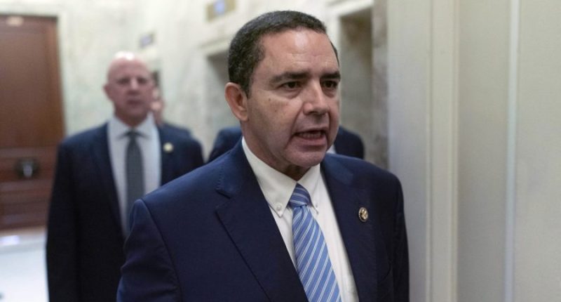 Cuellar supports military at border, but must be used 'the right way'