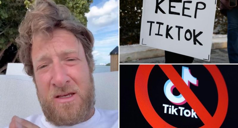 Dave Portnoy blasted US officials over looming TikTok ban