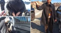 Democrat state senator handcuffed after refusing to show driver's license at traffic stop