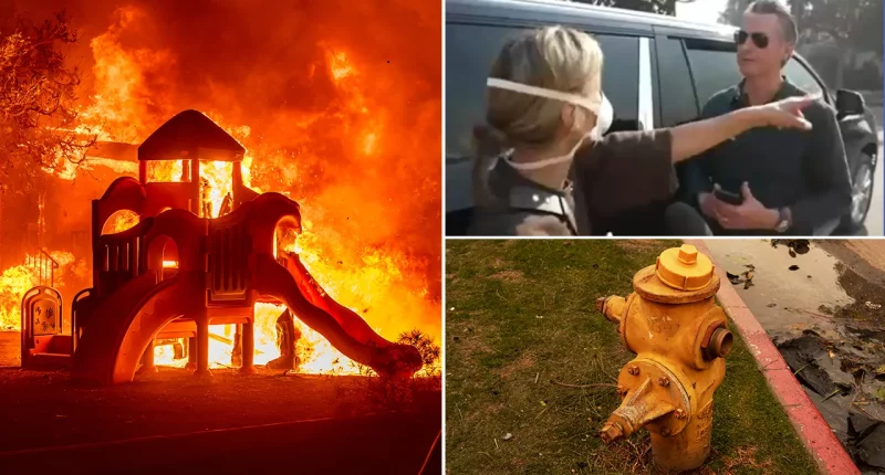 Distraught LA mom confronts Newsom over flailing wildfire response