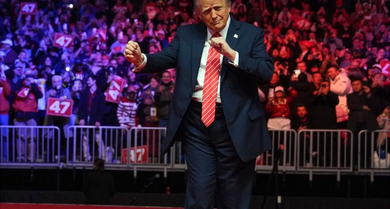 President-elect Donald Trump dancing at a rally.