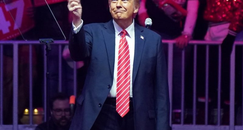 Donald Trump at a rally.