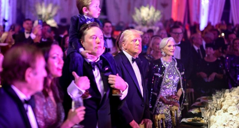 Musk carries his son on his shoulders as he brings in the new year with his new powerful pal