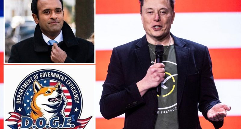 Elon Musk concedes DOGE unlikely to find $2 trillion in budget cuts — but here's what would be an 'epic outcome'