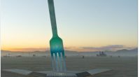 Elon Musk's role in reshaping US revealed in subtle message