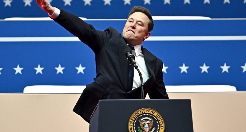Elon Musk's trans daughter issues fiery response to inaugural salute