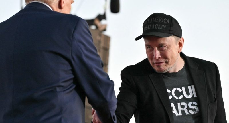 Donald Trump and Elon Musk pictured together during his campaign trail