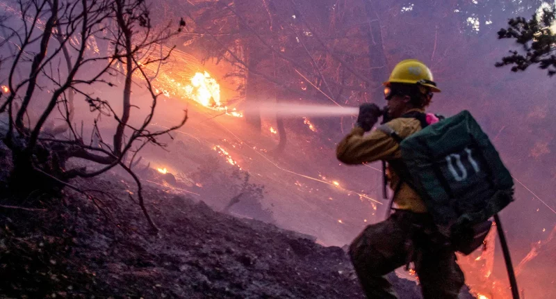 Essential phone numbers for Los Angeles-area residents and how you can help them