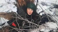 Person hiding in snowy bushes.