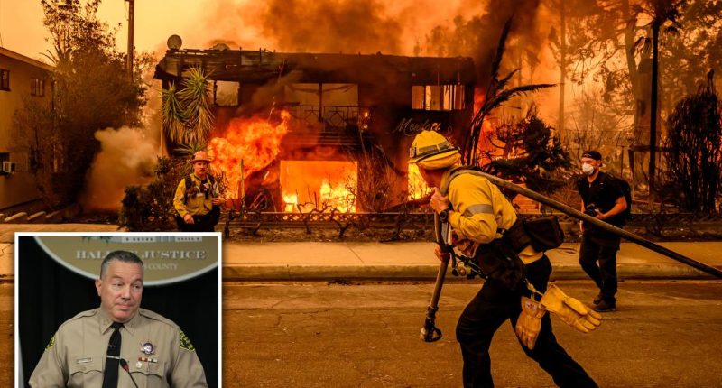 Ex-LA Sheriff blasts wokeness crippling wildfire response