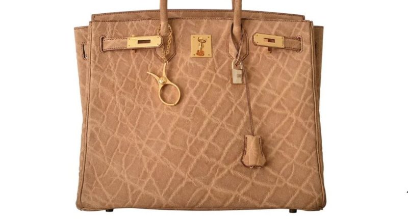 Fashion fans horrified to learn what rare Hermes bags are made from