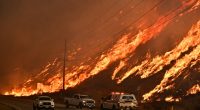 Emergency vehicles on a road next to a large wildfire.