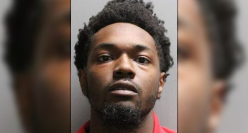 Florida man arrested for killing infant with car following argument with woman: police