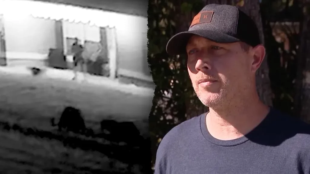 Florida man attacked by bear cub and bitten on stomach while defending dog says he couldn't 'watch her die'