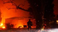 Person hosing down embers from a wildfire near houses.