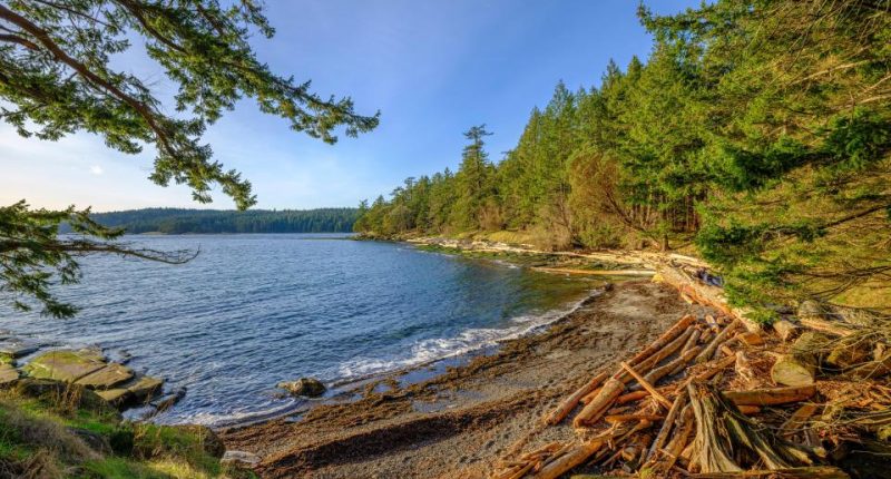 Scenic shoreline of Gabriola Island, Drumbeg Provincial Park.