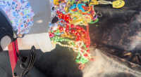 Gasparilla cleanup brings out hundreds of volunteers and beads