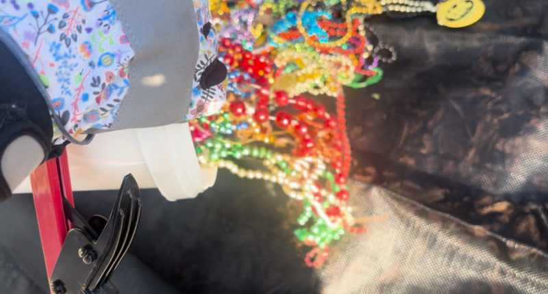 Gasparilla cleanup brings out hundreds of volunteers and beads