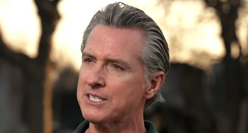 Gavin Newsom is slammed for car crash interview about LA fires