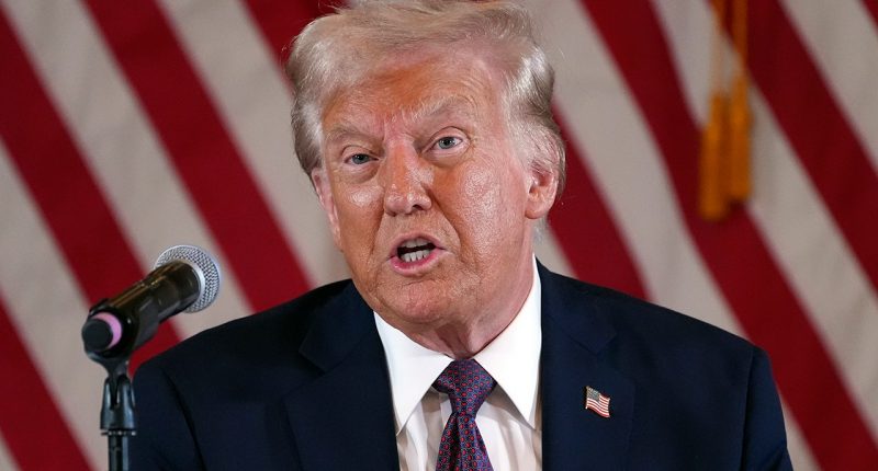 German ambassador warns Trump will 'undermine' democratic principles with 'maximum disruption' agenda: report