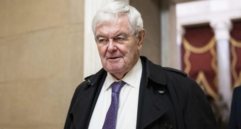 Gingrich: Afghans who fought alongside Americans should get 'unusual level of support and treatment'