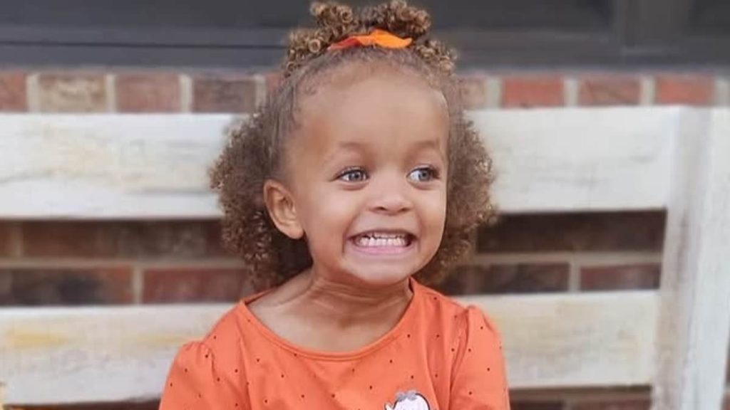 Girl, 3, mauled by family dogs while visiting father for Christmas