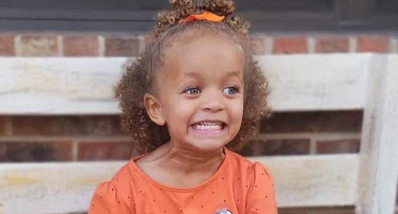 Girl, 3, mauled by family dogs while visiting father for Christmas